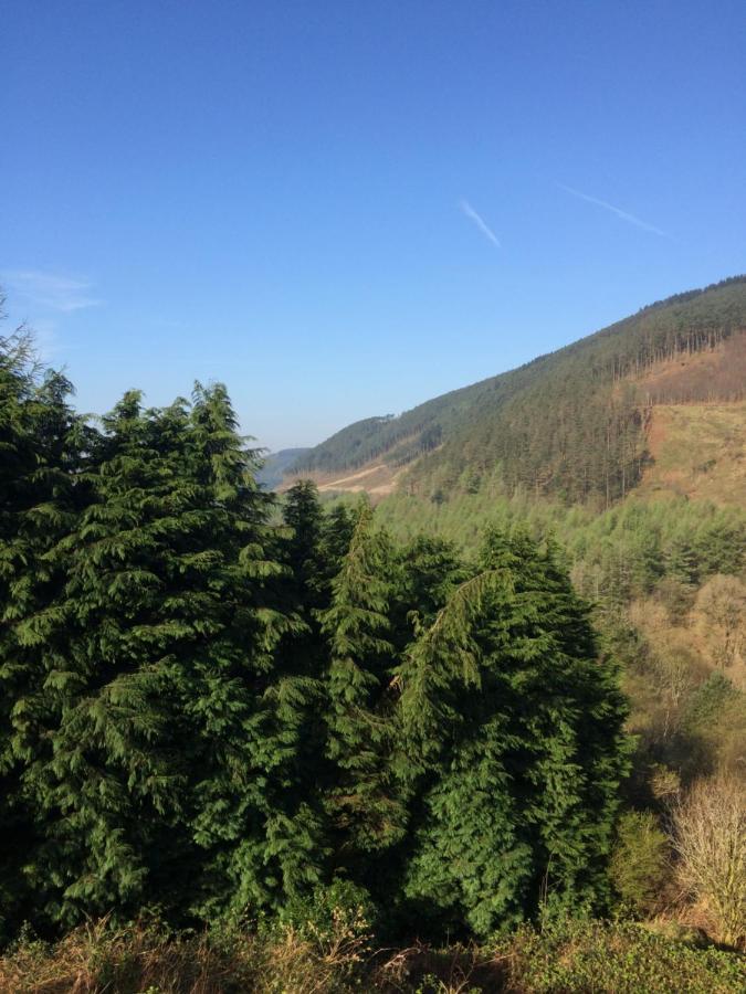 Rowan House Bed Breakfast Main House & Self Contained Self Catering Apartment Cymmer Extérieur photo